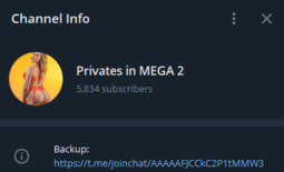 Privates In MEGA 2