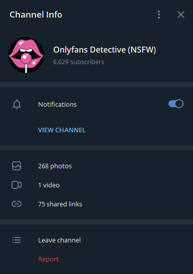 Onlyfans Detective
