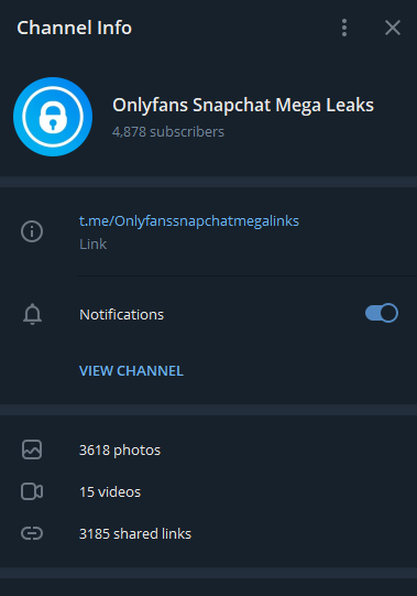 Onlyfans Snapchat Mega 