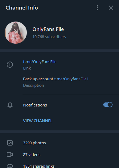 OnlyFans File