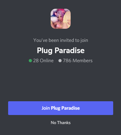 Discord Plug Paradise