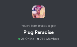 Discord Plug Paradise